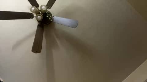 Snapshot of amberkni chatting on March 2026 07:45:02 AM amberkni online show from March 2026 07:45:02 AM