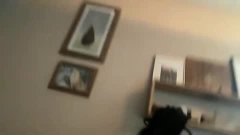 Snapshot of ambermoss7 chatting on June 2026 03:44:01 PM ambermoss7 online show from June 2026 03:44:01 PM