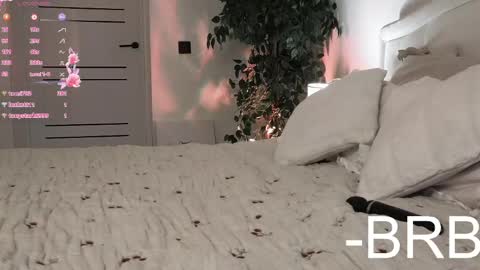 Amber online show from April 2026 09:39:33 PM