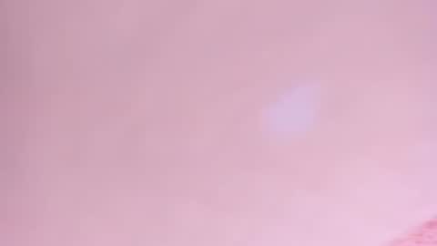 Snapshot of amelia_lov3 chatting on July 2026 04:19:01 AM Amelia online show from July 2026 04:19:01 AM