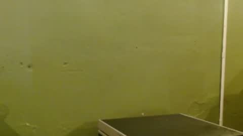 Mari online show from March 2026 01:56:01 PM