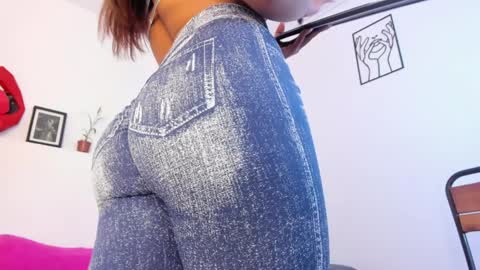 Snapshot of amisi_ari chatting on January 2025 08:07:01 PM hi guys im ariani ill be off till december 1st for vacation if u want u can add me on snapchat by bio and talk or play there online show from January 2025 08:07:01 PM