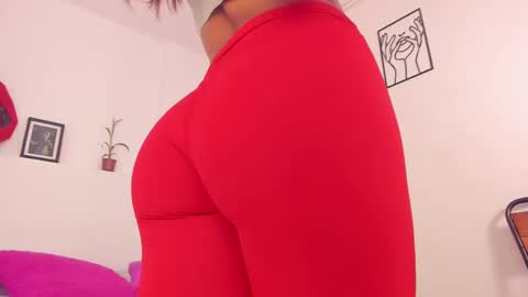 Snapshot of amisi_ari chatting on February 2025 05:53:01 PM hi guys im ariani ill be off till december 1st for vacation if u want u can add me on snapchat by bio and talk or play there online show from February 2025 05:53:01 PM