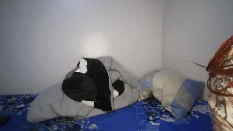 shantel online show from November 2025 07:29:01 AM