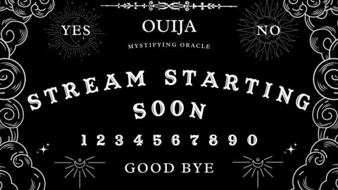 Amy 3 online show from December 2024 08:03:02 AM