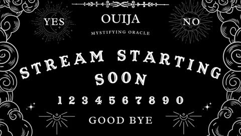 Amy 3 online show from February 2025 08:06:01 AM