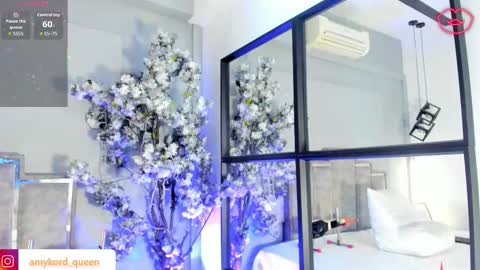 Amykord online show from February 2026 11:39:01 AM