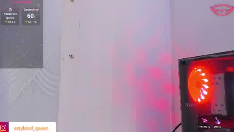 Amykord online show from July 2026 11:38:02 AM
