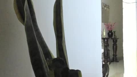 Snapshot of anapakerman chatting on March 2025 12:42:02 AM Ana Pakerman online show from March 2025 12:42:02 AM