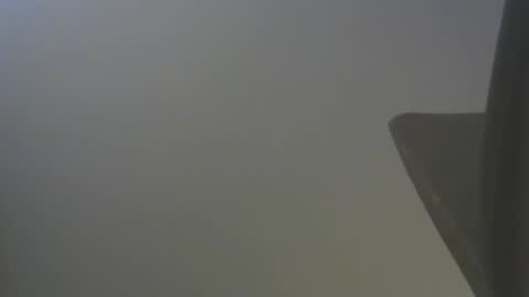 Andy online show from December 2024 11:28:01 PM