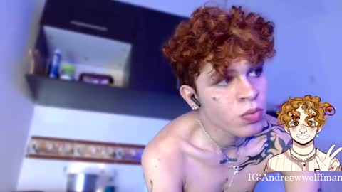 Snapshot of andreewwolffman chatting on January 2025 04:15:01 AM Andrew online show from January 2025 04:15:01 AM