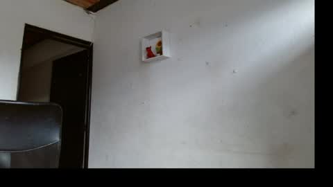 Snapshot of andrew_sanders_ chatting on June 2026 08:44:02 PM andrew online show from June 2026 08:44:02 PM