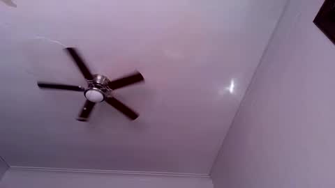 Snapshot of andrewgennie chatting on October 2025 06:03:02 PM andrewgennie online show from October 2025 06:03:02 PM