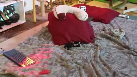 Angel online show from March 2025 04:51:02 AM