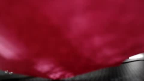 Anna Evodees  online show from December 2024 07:54:01 PM