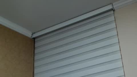       online show from February 2026 01:53:02 AM