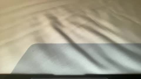 anned1991 online show from November 2025 10:15:02 PM