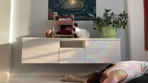 N  antics online show from September 2025 03:52:01 AM