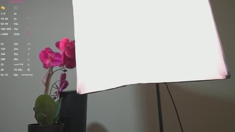 Ana online show from September 2025 11:32:01 AM