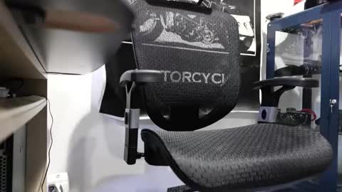 D online show from January 2025 01:49:02 PM