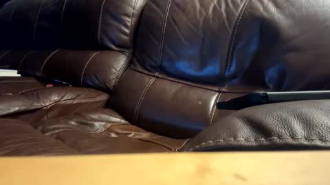 anarchist online show from March 2026 10:45:02 AM