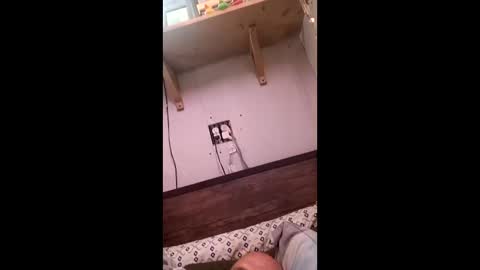 Snapshot of anthony9168 chatting on March 2026 11:22:02 PM anthony9168 online show from March 2026 11:22:02 PM