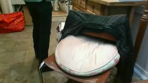 anthonyxxaa online show from January 2026 06:24:02 PM