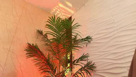 Snapshot of anton__monacu chatting on November 2025 03:50:01 AM anton__monacu online show from November 2025 03:50:01 AM