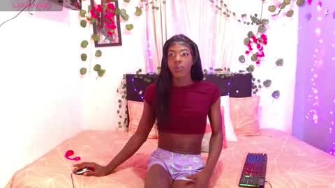 Snapshot of antonella747158 chatting on November 2025 08:17:02 AM antonella747158 online show from November 2025 08:17:02 AM