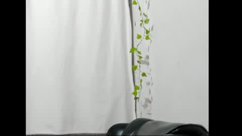 Snapshot of antonella_gomez22 chatting on July 2026 04:39:01 AM Antonella online show from July 2026 04:39:01 AM