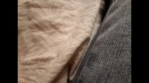 Daddy online show from November 2025 08:47:01 PM