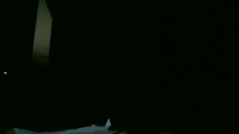 furry bear online show from March 2025 08:21:01 PM