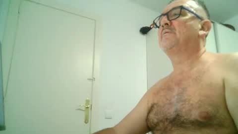 furry bear online show from September 2025 10:53:01 PM