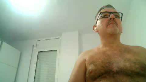 furry bear online show from September 2025 08:43:01 PM