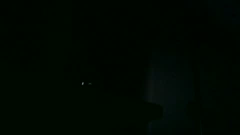 furry bear online show from October 2025 07:03:01 PM