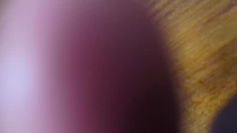 Snapshot of apollodarkmn chatting on July 2026 04:10:02 AM apollodarkmn online show from July 2026 04:10:02 AM