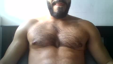 T. online show from July 2026 12:03:02 PM