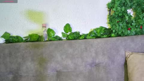 ari online show from December 2024 06:04:01 AM