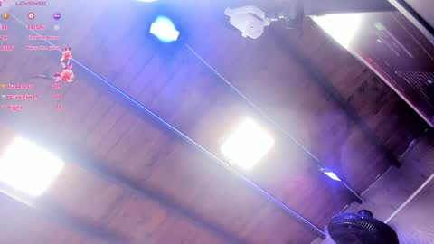 ARI  online show from January 2025 11:41:01 AM