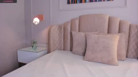 Snapshot of aria_greco chatting on January 2025 02:51:02 AM Aria  online show from January 2025 02:51:02 AM