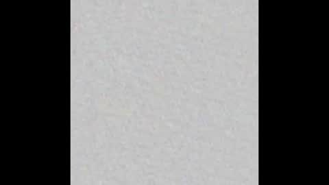 Arianna Collins online show from January 2026 11:37:02 AM