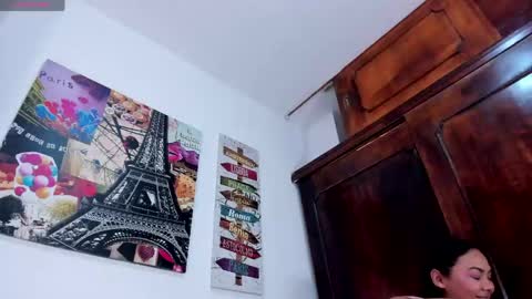 Snapshot of arianaa_w chatting on June 2026 02:33:01 PM arianaa_w online show from June 2026 02:33:01 PM