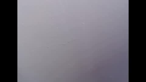 Snapshot of ariannaloovel chatting on April 2026 05:55:01 PM ariannaloovel online show from April 2026 05:55:01 PM