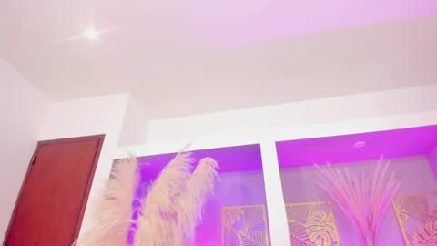 ariarusso_ online show from December 2025 08:26:02 PM