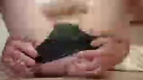 ariete80s online show from July 2026 07:13:01 AM