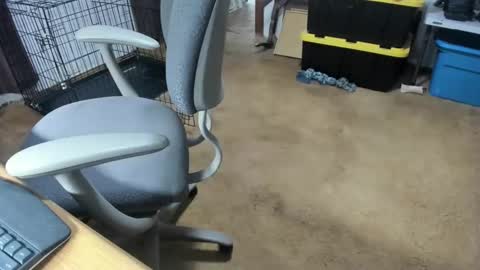 armalite16 online show from January 2026 05:11:01 AM