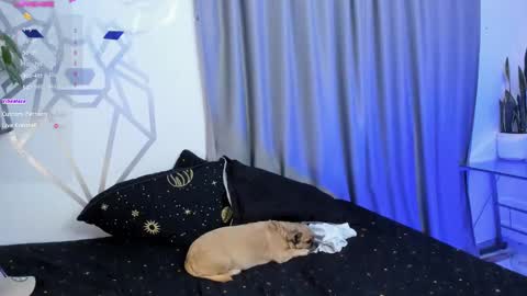 Snapshot of aron_santoro1 chatting on January 2025 04:31:02 AM Aron Santoro online show from January 2025 04:31:02 AM