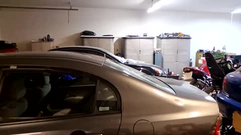 Ashelynn Grey online show from February 2025 12:16:02 PM