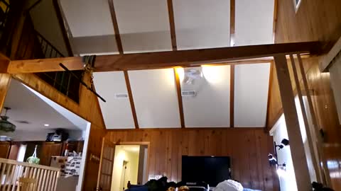 Ashelynn Grey online show from February 2025 02:21:01 AM