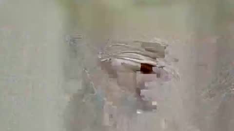 asifzamma online show from April 2026 08:50:02 AM